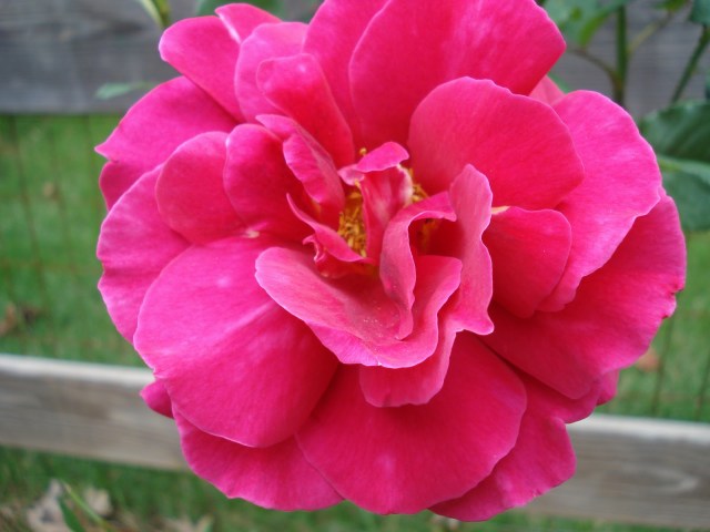 >Blogging on PFHT today