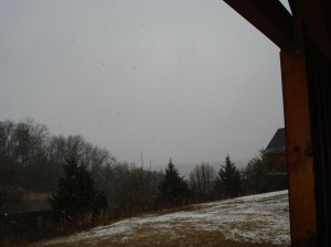 View from Treasures Times, a Cabins For You retreat