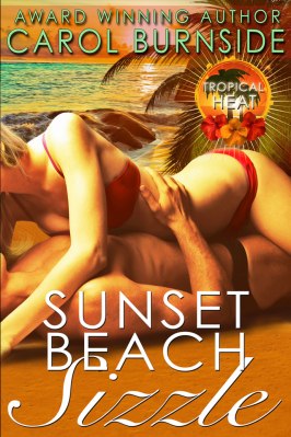 sunset-beach-sizzle-e-reader-copy