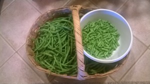 OWNER-PC - WP_20150610_002