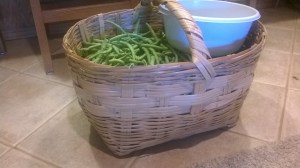 OWNER-PC - WP_20150610_003